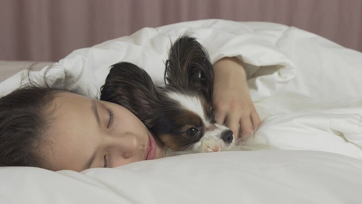 ���� ��������, ������ ��� � ��������� ����� ���� ������ ��� ��������