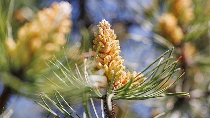 ��������� ����������, ��� � ������� ������ ������������ �������