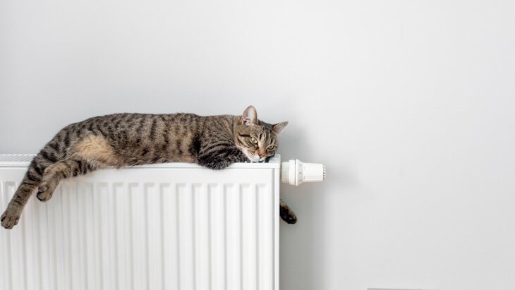 � ����������� ����������, ����� ����� ��������� ��������� � ���������