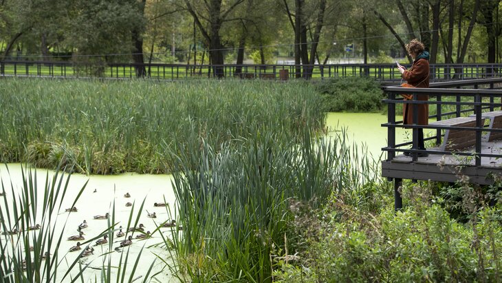 � ����� ������ ������ ��������� "����� ����� ������ �������"