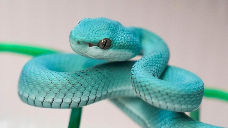 ������� ��������� ����� ������� � ���������� ��������