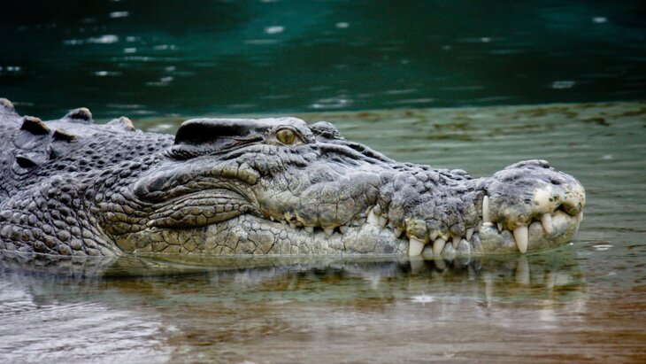 � ����� �������� ��������� ������� �� ����� ������� � ���