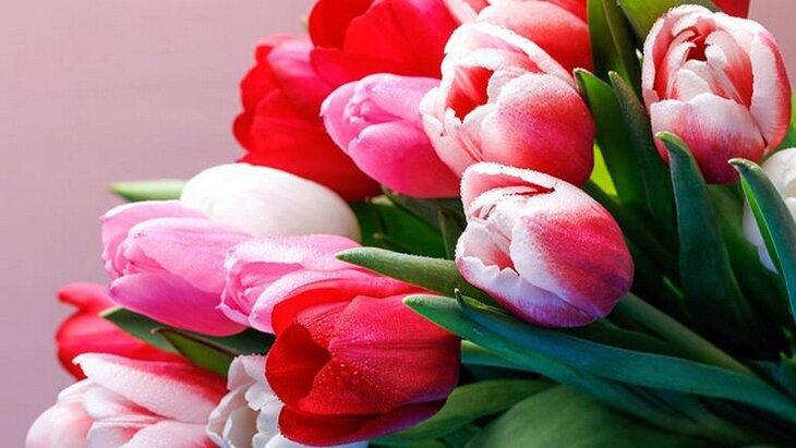 ������� ��������� ��������� � ������������� ������� ����