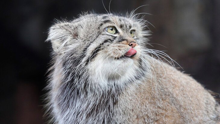 ����� ������� �� ����������� �������� ���� ������ 5,8 �� � �������� ���������