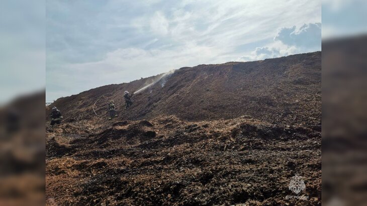 ������� ����� �� ������ ������� ����������� � ������������ ���� ������������