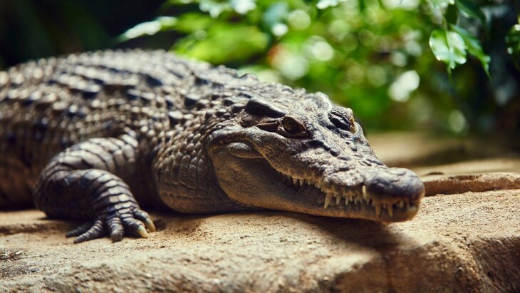 � ����� ���� ������ ���� �� ��������� �������� ������ � ���