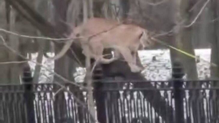 � ������ ������ ����� ����, �������� ��������� ��������� � �������� � �������