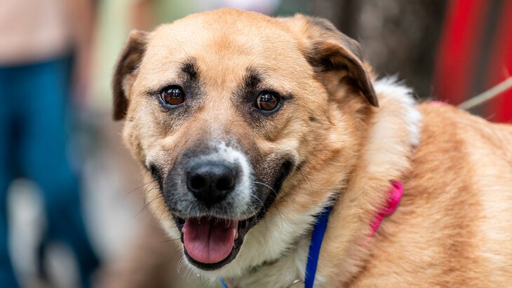 ��������� ���������, ��� ������ ������� �������������� ����� ����������� � ���� � �����