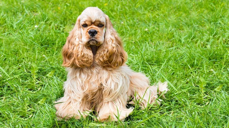 �������� ������� ������� �������� ��� �����