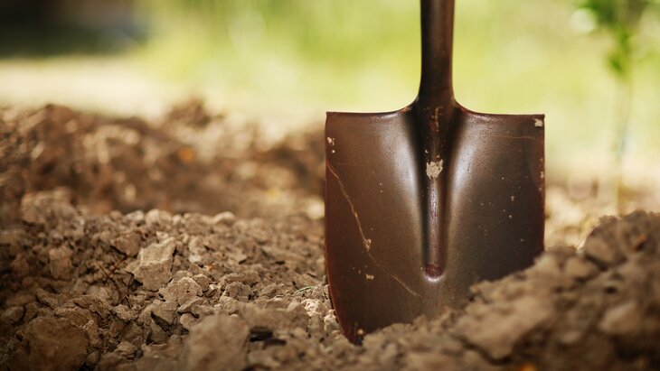 ��������� �� ����� ����������� ������ �������� ������� �� ������, �� ��� ������� ��������