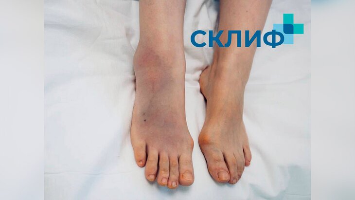 �������� ���� ������� ���������� ������