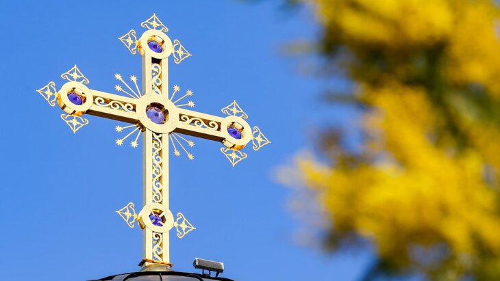 � ������� ������ ������������ � ������ ������������ ����������� �������� ������