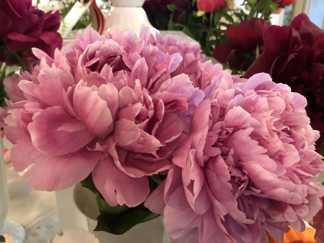 ����� �������� ����� �������� ���������� � 12 �� 16 ���� � ������������ �������