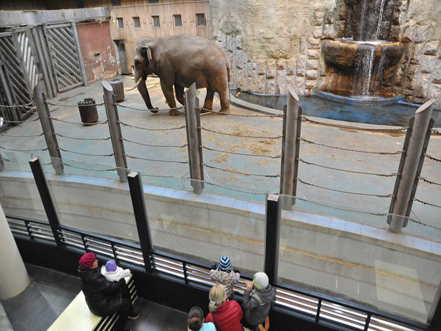 � ���������� �������� �������� ����� ������ 