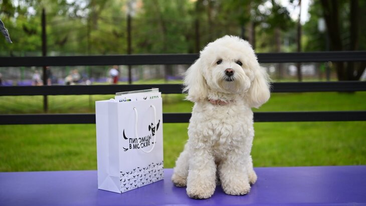 ������� ���������: �������� ������� "������� � ������" �� ��� ������� � 23 ������� �������