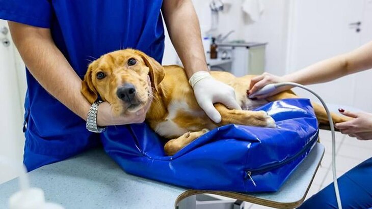 ����� ����� �������� �������� � �������-������ ������������ ������