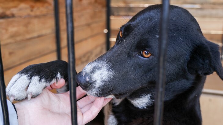 ������� ���������������� ���� �� ������������ ���������� �������� � ��