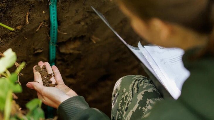 � ���������� ����� "�������� �������" ����������� ��������� �����