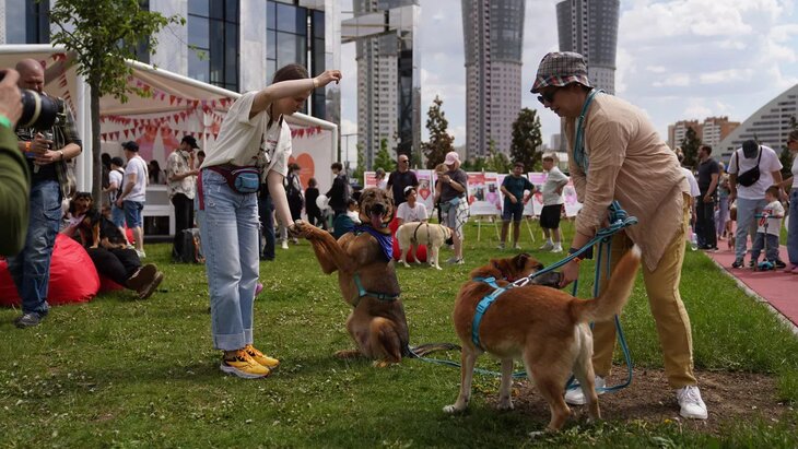 ����� 40 ����� ��������� ������� ������� � ��������� "�����"