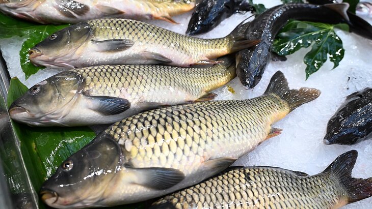 � ������� ���������� ��������� ���� �� ������� �� ���������