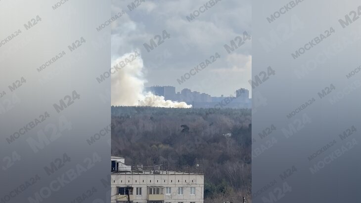 100 ������� ������������ �� �������� ������ �� ����� ���������� � ������