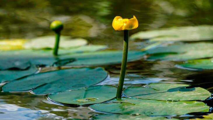 ������������ 19 ��������� ������ ����� ��������� � 2025 ����