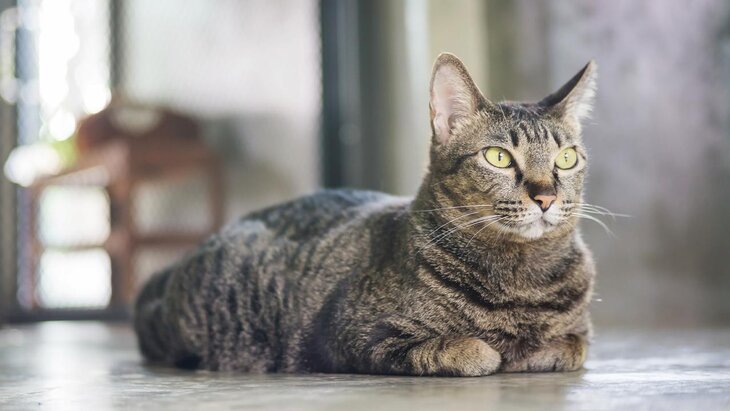 ������ ������������� ��������� � ��������������� �� ������� �������� ����