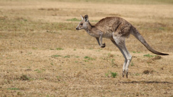 ������ ��������� ����� � �������� ����� ��������� ���� �������