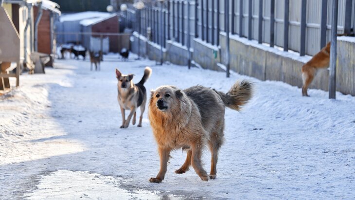 �� �������� ������������ ������� ����������������� ����� ��������� ������