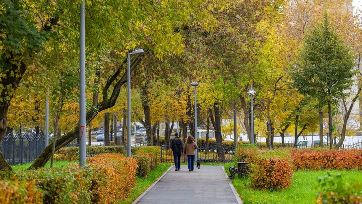 ��� ������ ������������� �� ���-������� ������