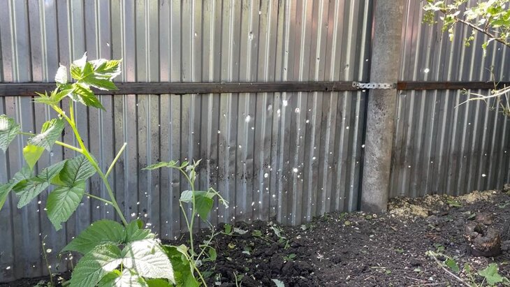 ������� ���������� � �������� ������������ ������� ��� �������� ���