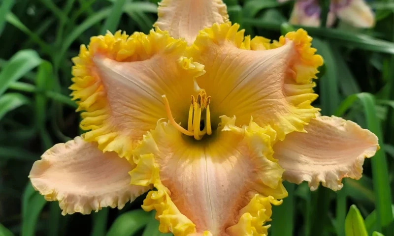 �������� ���������� ������� � ������������ ������� 24 � 25 ����