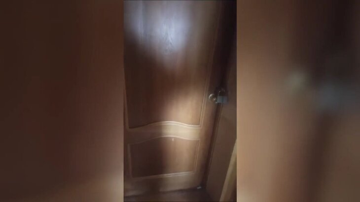 ������ ���������� ����� ���������� �� ������� � ������� ����� Shaman