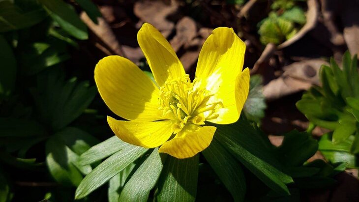 ��������� �������� �������� � "����������� �������"