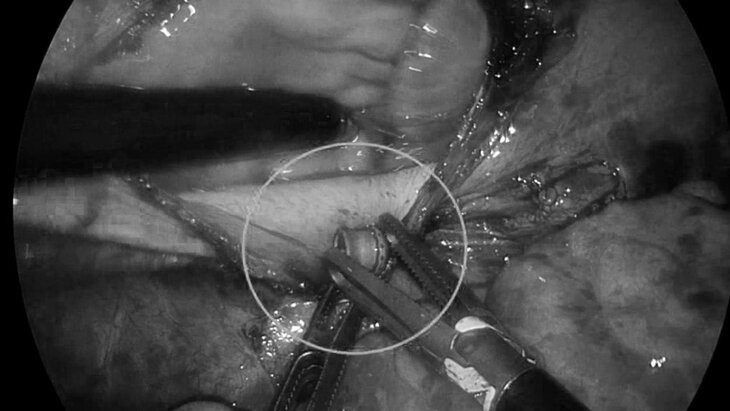 ������������ ����� �������� ���� �� ������ ���������