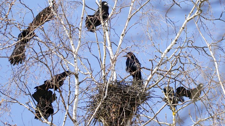 � ���������� ����������, ����� ����� ������� �������� ������ � ������