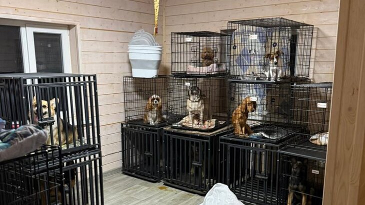 ���� ���������� ����� ����� �� ���������� �������� � �����������