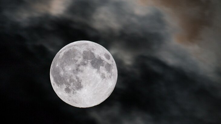 �������� �� ������ ������� "������� ����" � ���� �� 13 �������