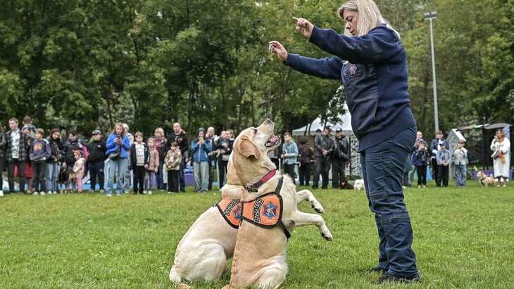 ���������: ����������� "����, ���������, ��������" ������ ����� ��� � 70 ������� �������