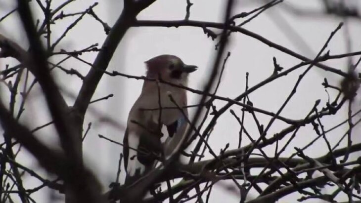 ���������� ������� ������� � ���������