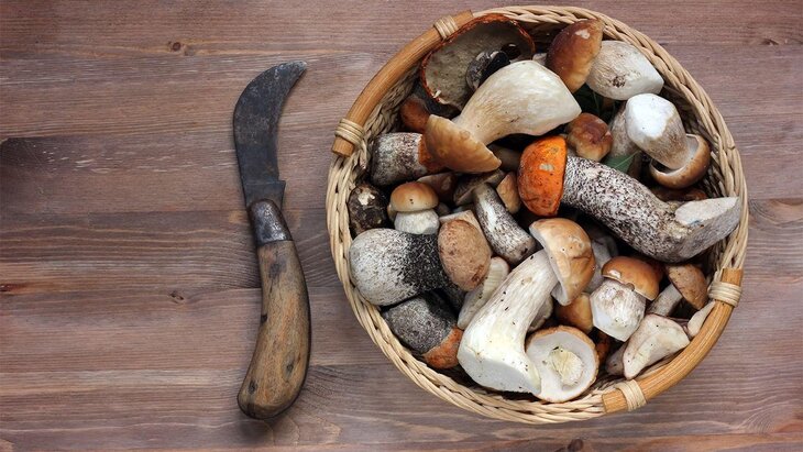 ������� ���������, ����� ����� ������ ����� ������� � ����