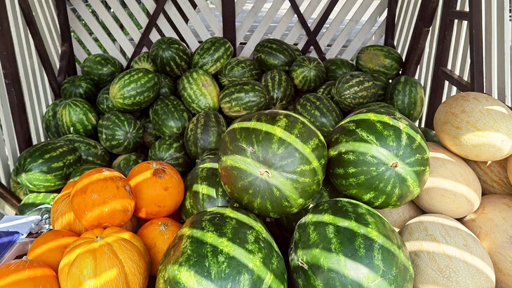 ����� ������ �������� �������� ���������� � ������