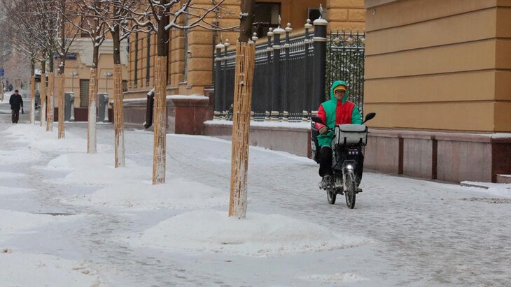 ���� "����������" ������� � ������� � ����� ������