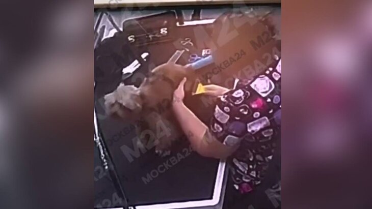 ������ �������� ������ ������ �������� � �����������