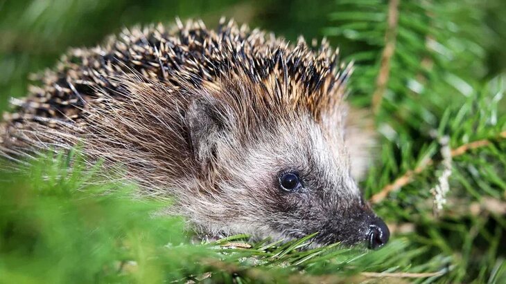 ��� ������ ����������� � ������� ��-�� ������ ������