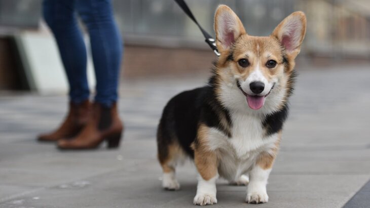 ���������� ��������� ������ �� ��������� ������ ���������� �������� ��������