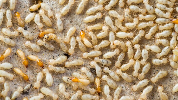 ������ ��������, ��� ������� ��� ��������� ������������� ��� ��������