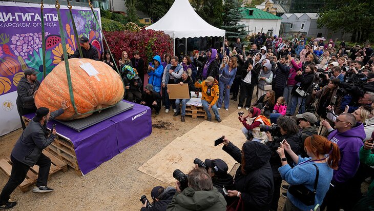 ������������ ������ ��������� ������ ������ �� ����������� ������� ����