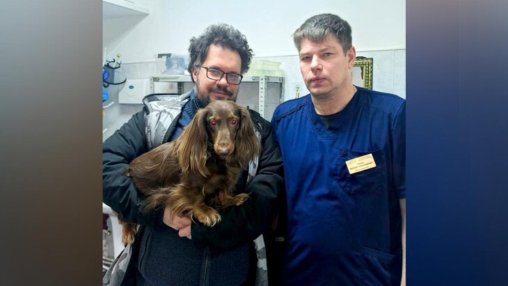 ��������� ���������� ������ ����� ���� � ������� ������