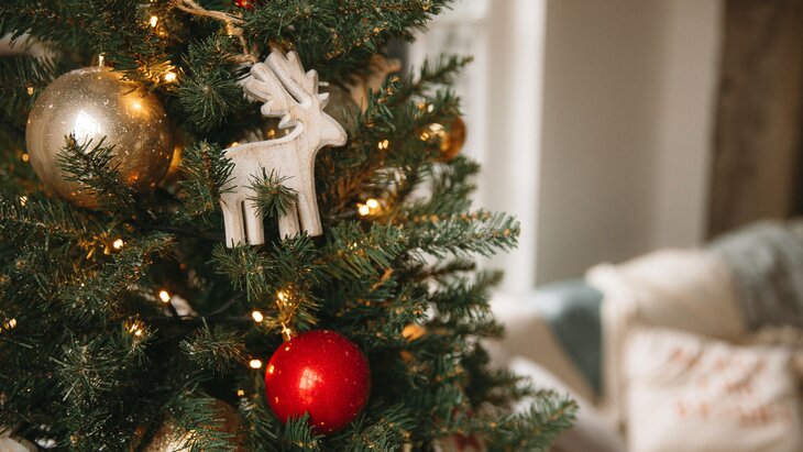 ����������� ����������, ��� ������� ������ �� ������� �������